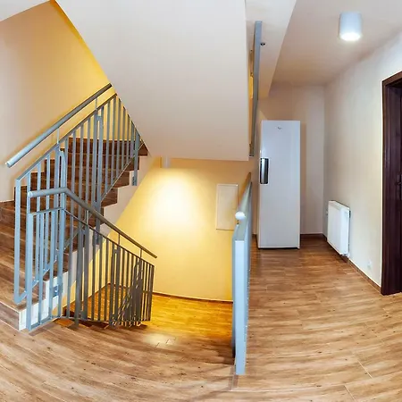 D.n. Center מידזיזדרויה